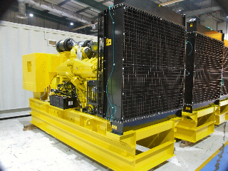 Yellow Power pic-1